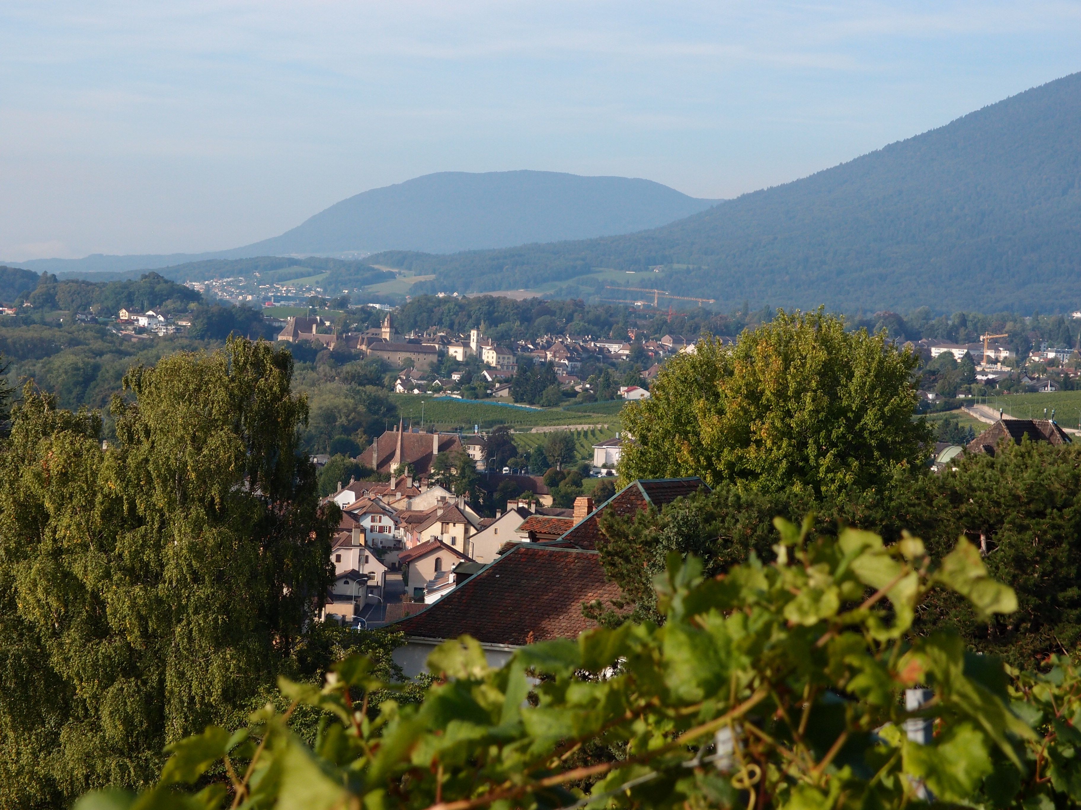 Image associée