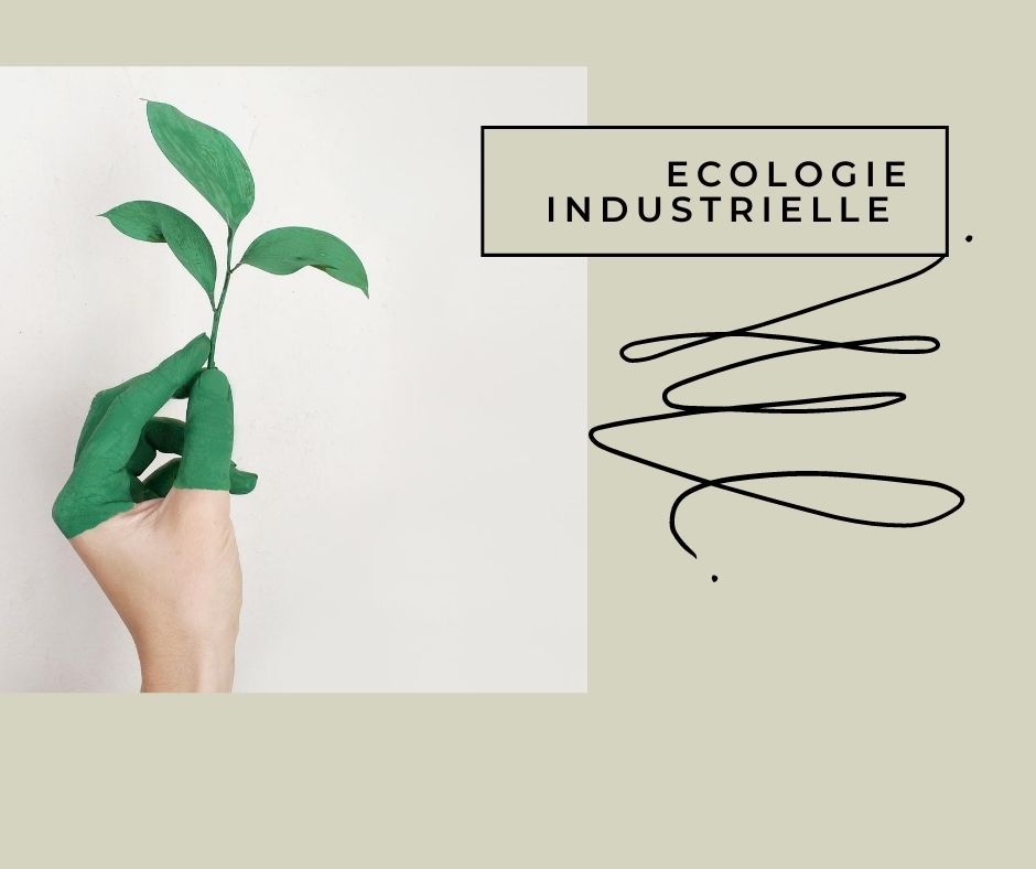 Texte Odoo et bloc d'image