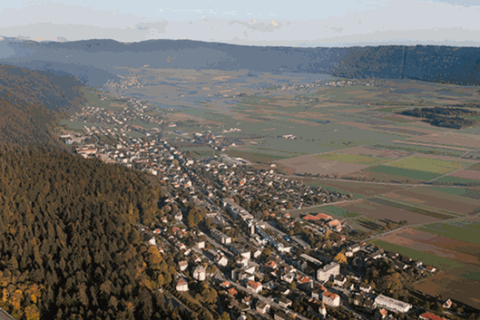 Odoo- Echantillon n° 2 pour trois colonnes
