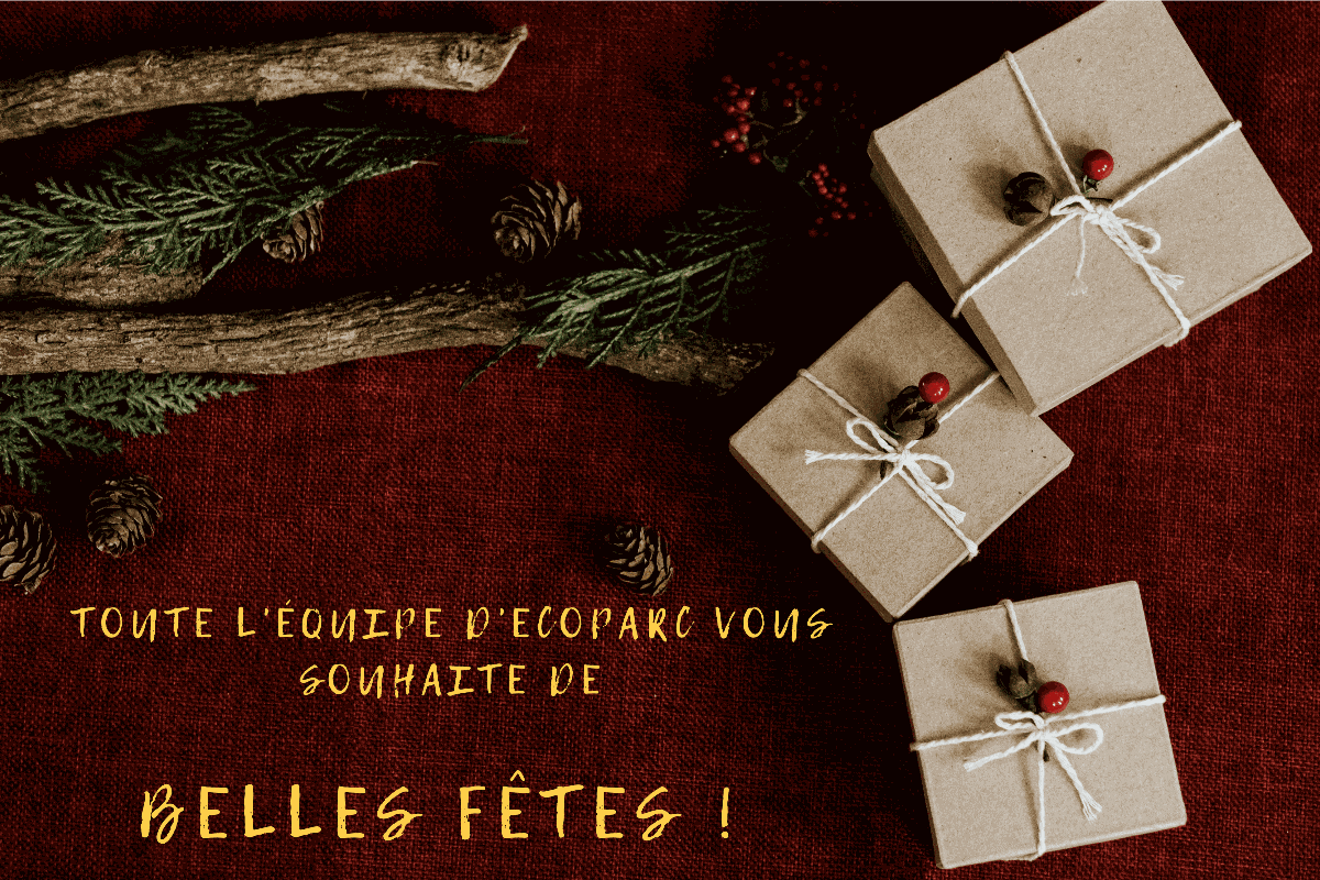 Odoo - Echantillon n°1 pour trois colonnes 