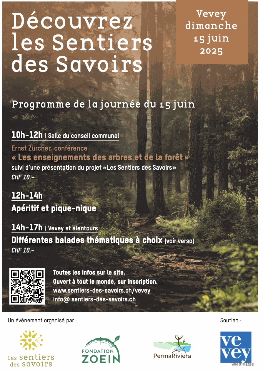 Odoo CMS - une grande photo